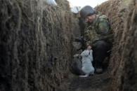 "Военным животные напоминают о доме": Фо…