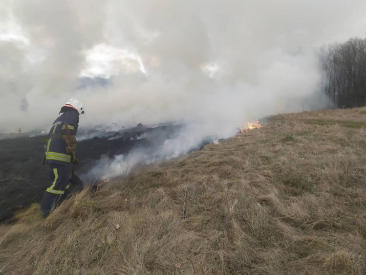 Рання весна - "сезон пожеж в екосистемах. Фото: пресслужба ГУ ДСНС у Вінницькій області 