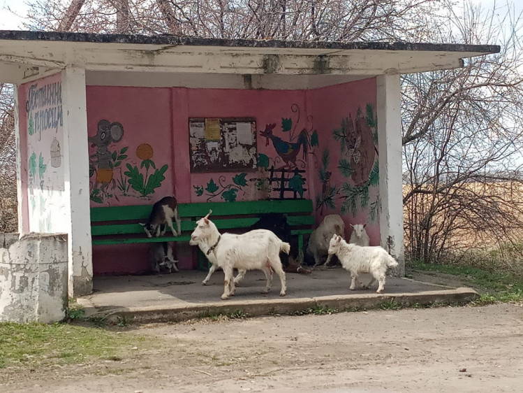 Рисунок на автобусной остановке в селе Пилява3
