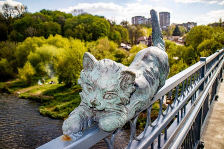 Кіт на Київському мосту