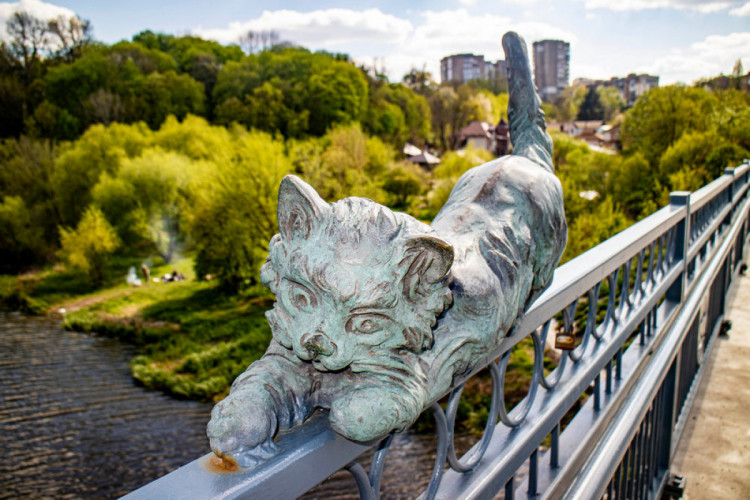 Кот на Киевском мосту