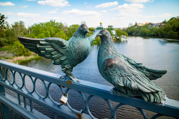 Голуби на Київському мосту