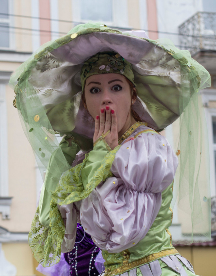 День Виннице — 2013 Карнавал