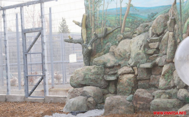 У "Подільському зоопарку" Вінниці завершують будівництво вольєра для рисі