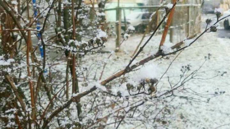 Через снігопад у Вінниці утворилися затори