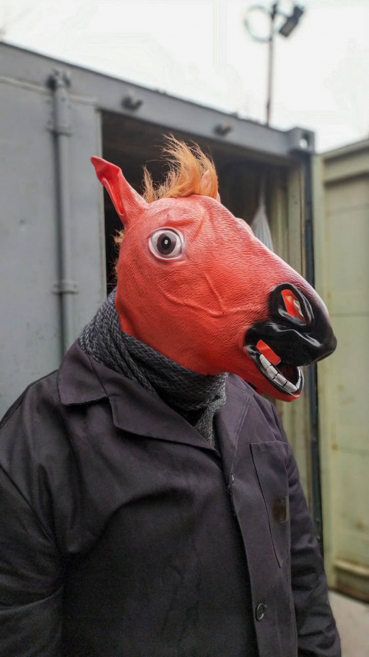 Новогодний заплыв