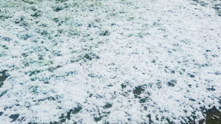 У Вінниці випав сніг