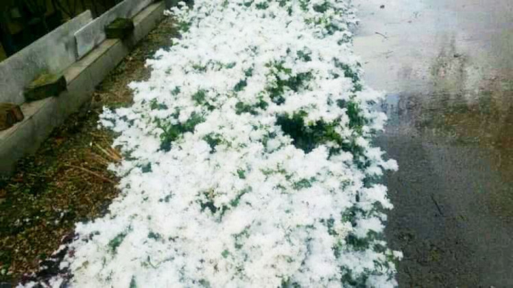 У Вінниці випав рясний сніг