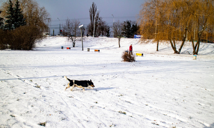 Симферополь. Долгожданный снег