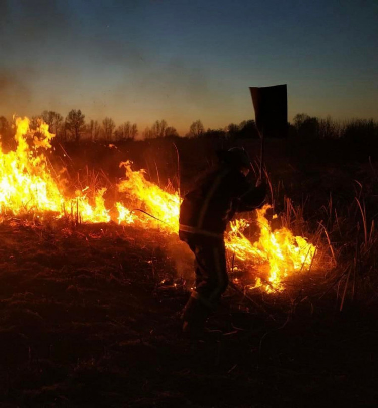 Пожежі в екосистемах Вінниччини