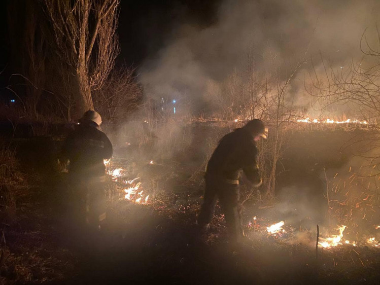 Пожежі в екосистемах на Вінниччині