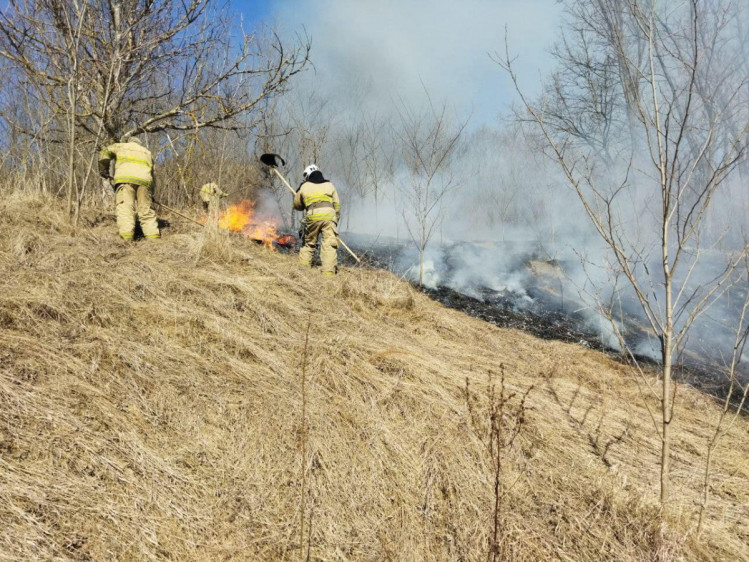Пожежі в екосистемах у Вінницькій області