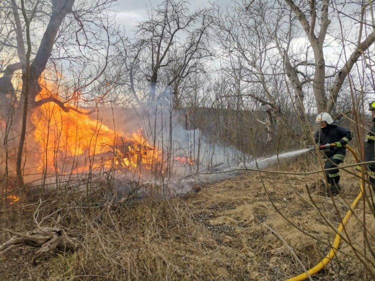Трагедія через спалювання трави на Вінниччині