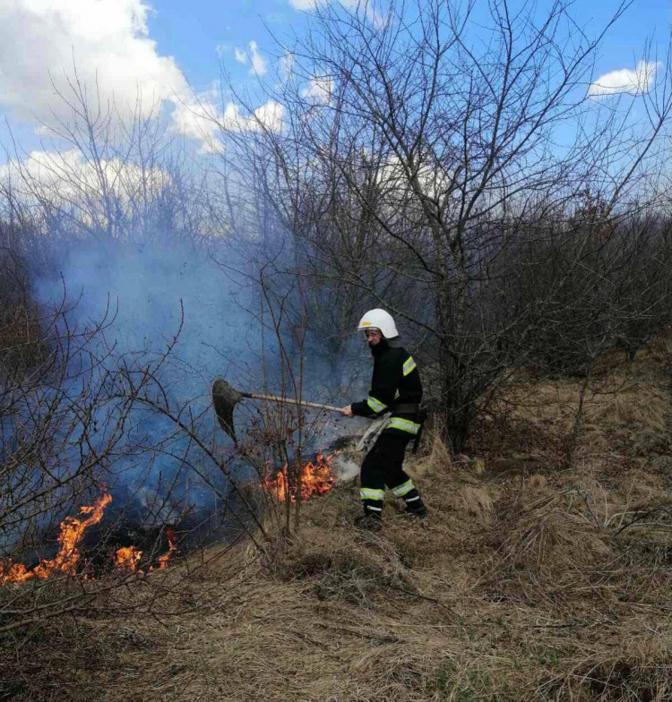 Трагедия из-за сжигания сухостоя в Жмеринском районе
